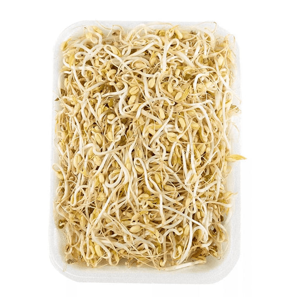 RAIZ CHINA 150G BANDEJA